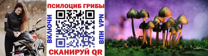Галлюциногенные грибы Magic Shrooms  Углегорск 